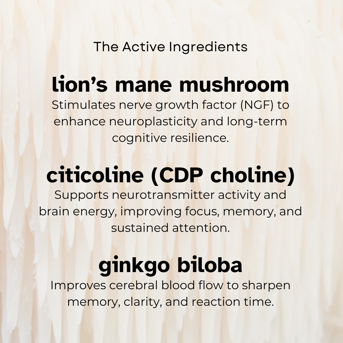 Lion's Mane + Ginkgo Biloba