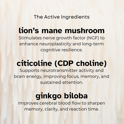 Lion's Mane + Ginkgo Biloba