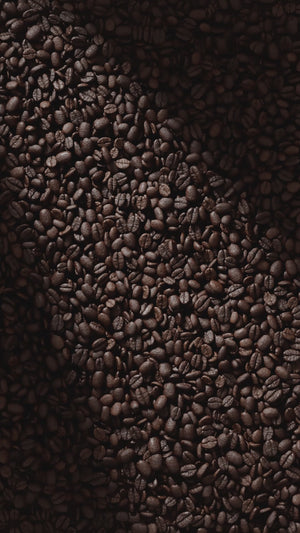 Pure Form® Protein Iced Coffee